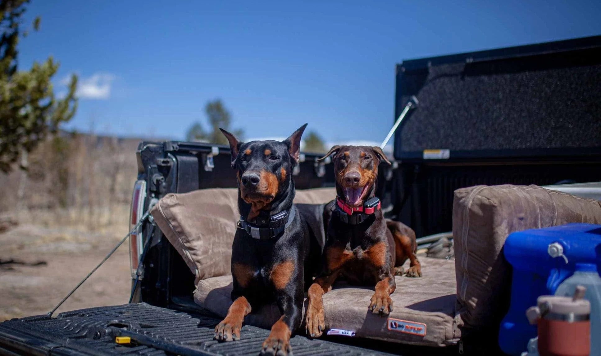 Barker SUV Bed