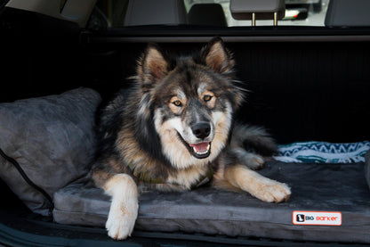Barker SUV Bed