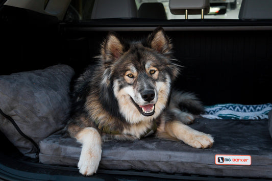 Barker SUV Bed