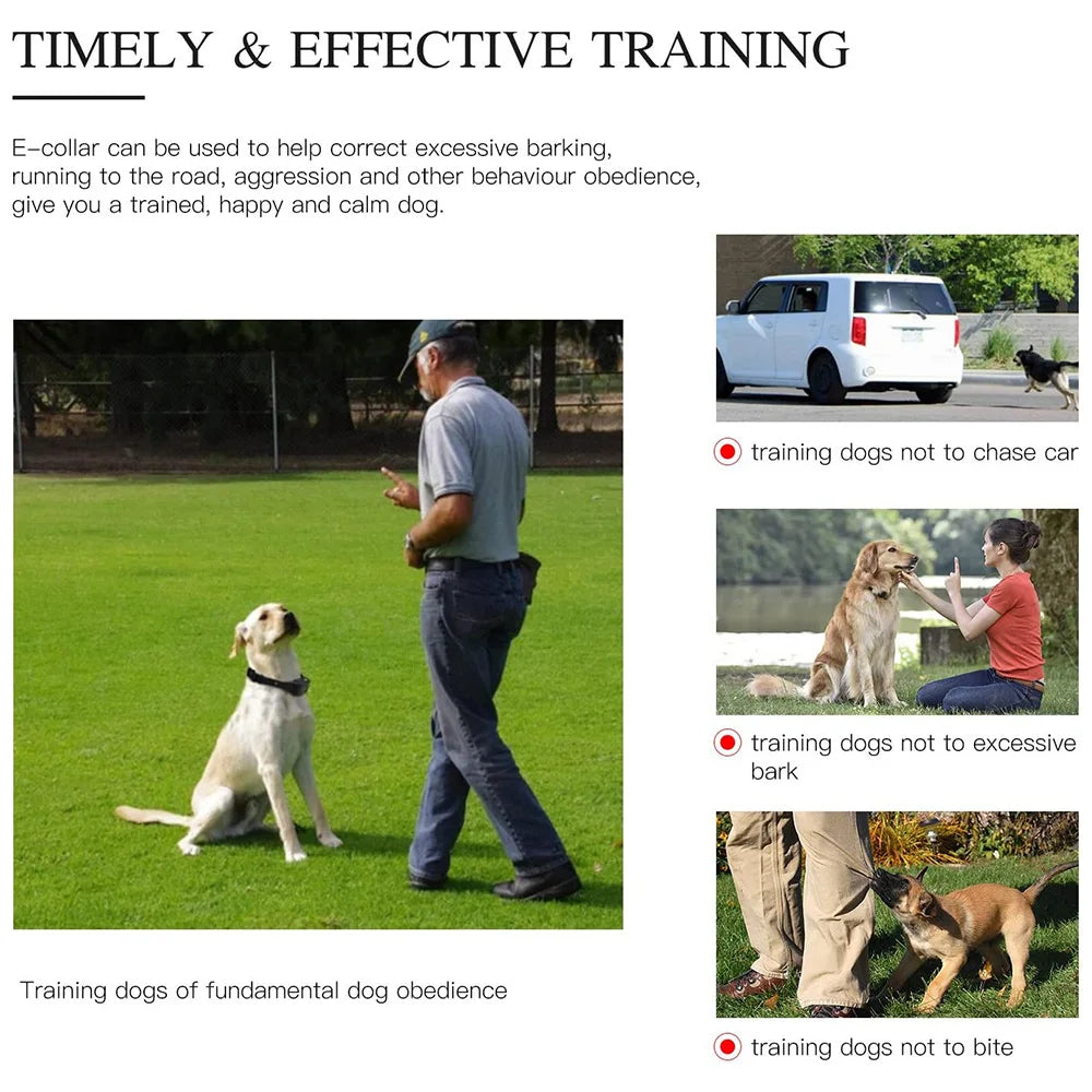 800M Digital Dog Training Collar Waterproof Rechargeable Remote Control Pet with LCD Display for All Size Shock Vibration Sound