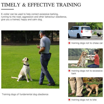 800M Digital Dog Training Collar Waterproof Rechargeable Remote Control Pet with LCD Display for All Size Shock Vibration Sound
